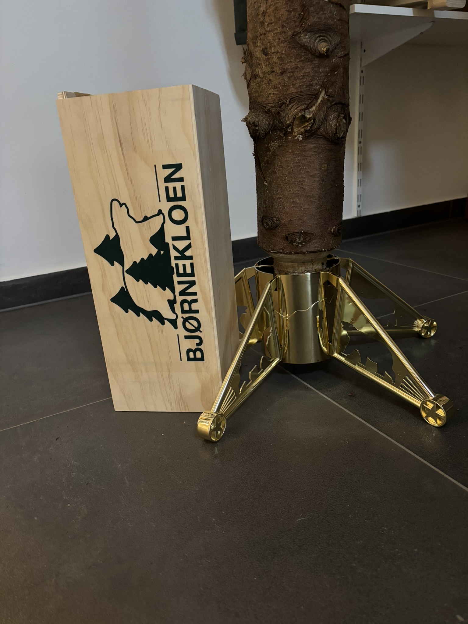 DIWA  Baumständer " Bjørnekloen" silber - Holzbox für Bäume bis 250 cm